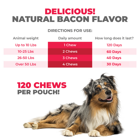 10-in-1 MAX Allergy Immunity Chews for Dogs