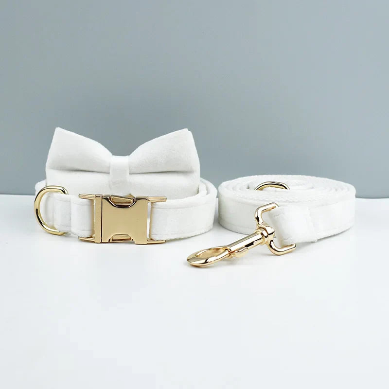 Luxury Personalised Dog Collar Set