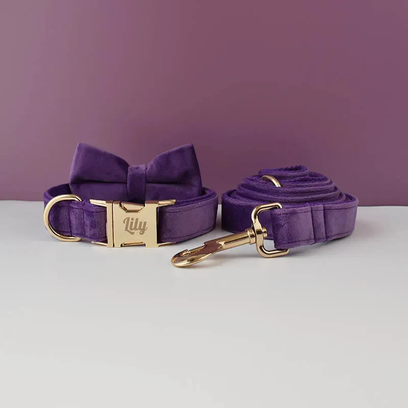 Luxury Personalised Dog Collar Set