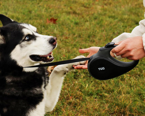 Tangle Free Original Retractable Dog Leash